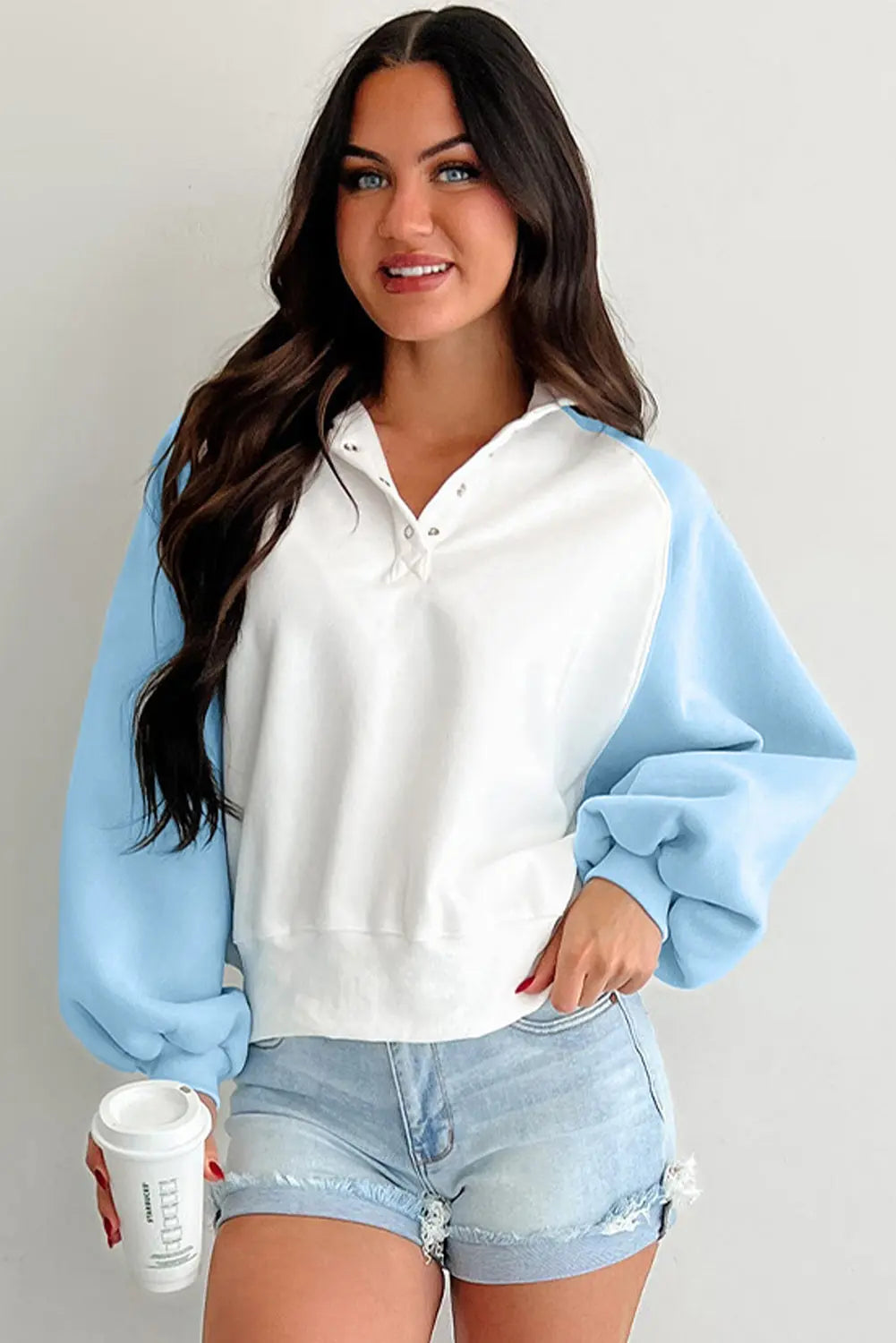 Beau Blue Colorblock Snap Buttons Pullover Sweatshirt Dear-Lover Dropshipping